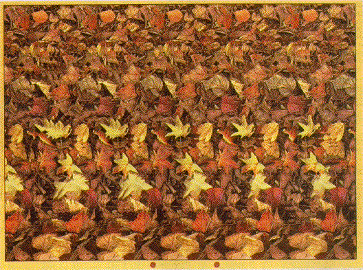 Autostereogram of Mushrooms