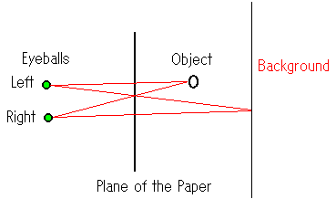 Top View of 

Someone Viewing an Autostereogram